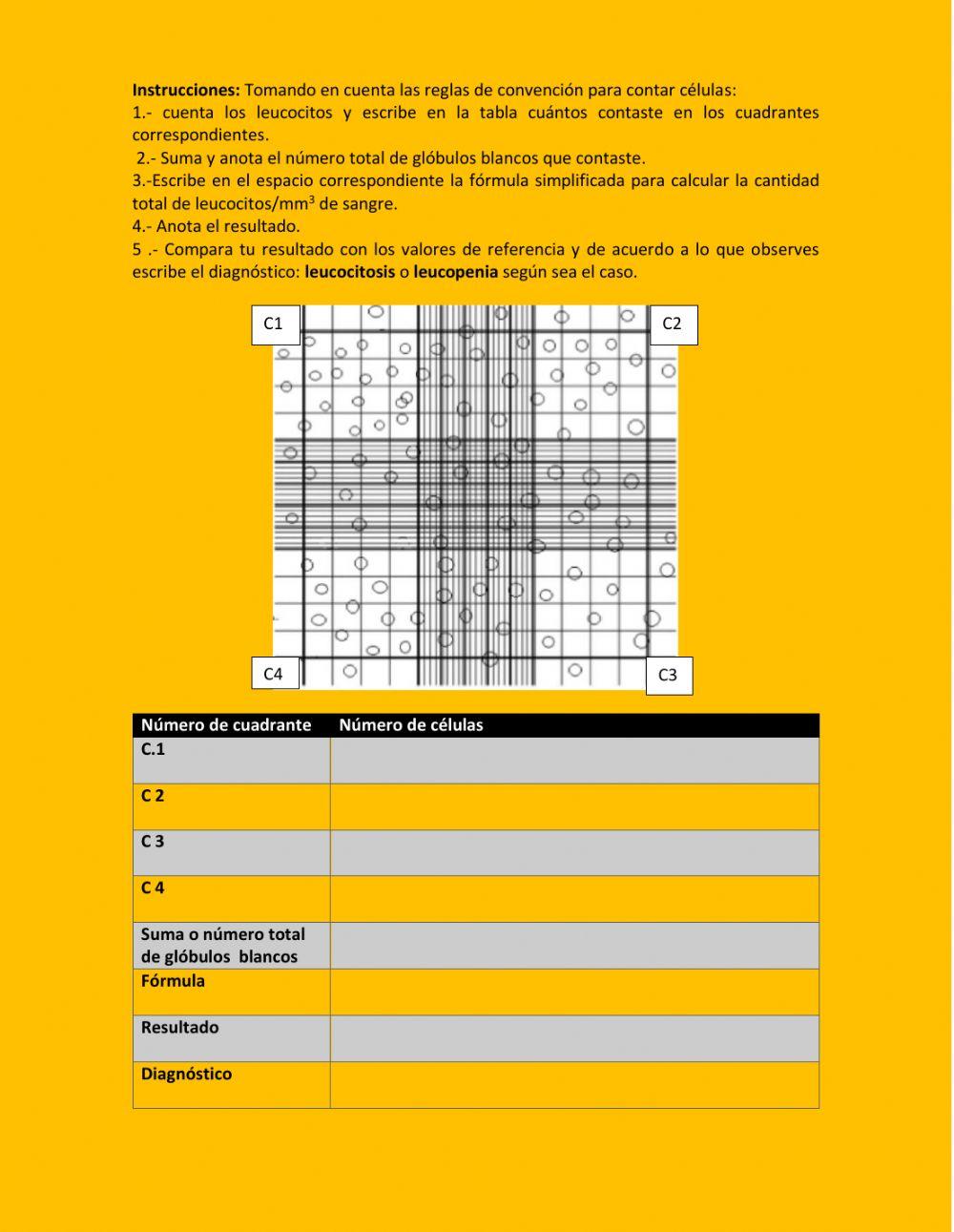 Recuento leucocitario total