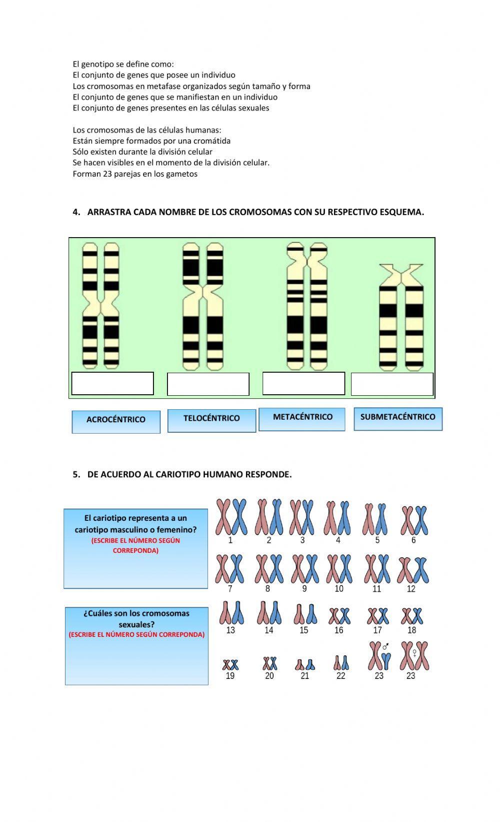 Evaluación de cromosomas