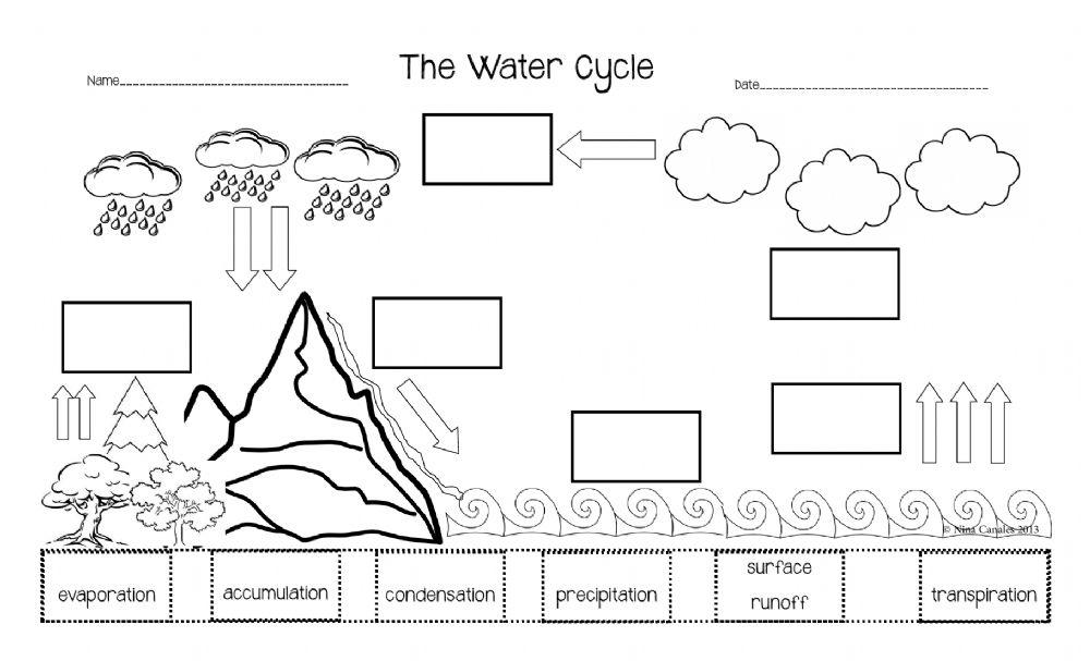 Water Cycle Label Test