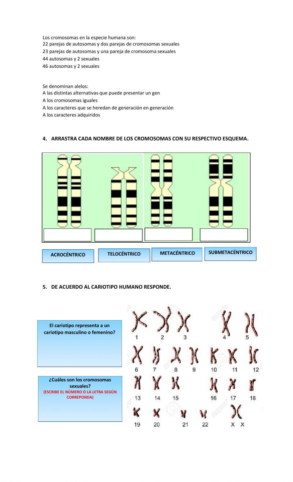 Evaluación de cromosomas