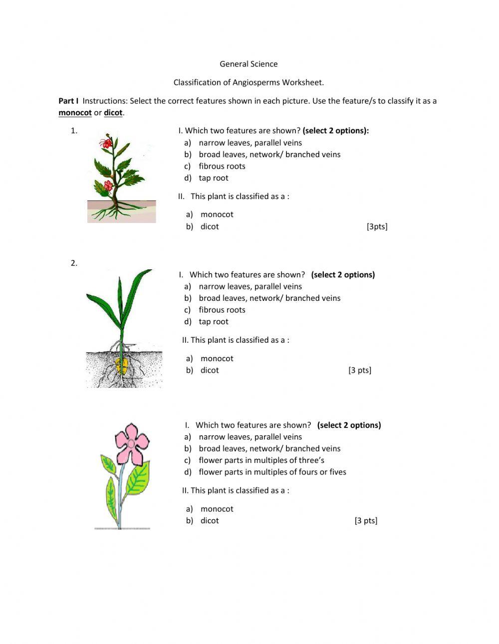 classification of angiosperms online exercise for | Live Worksheets