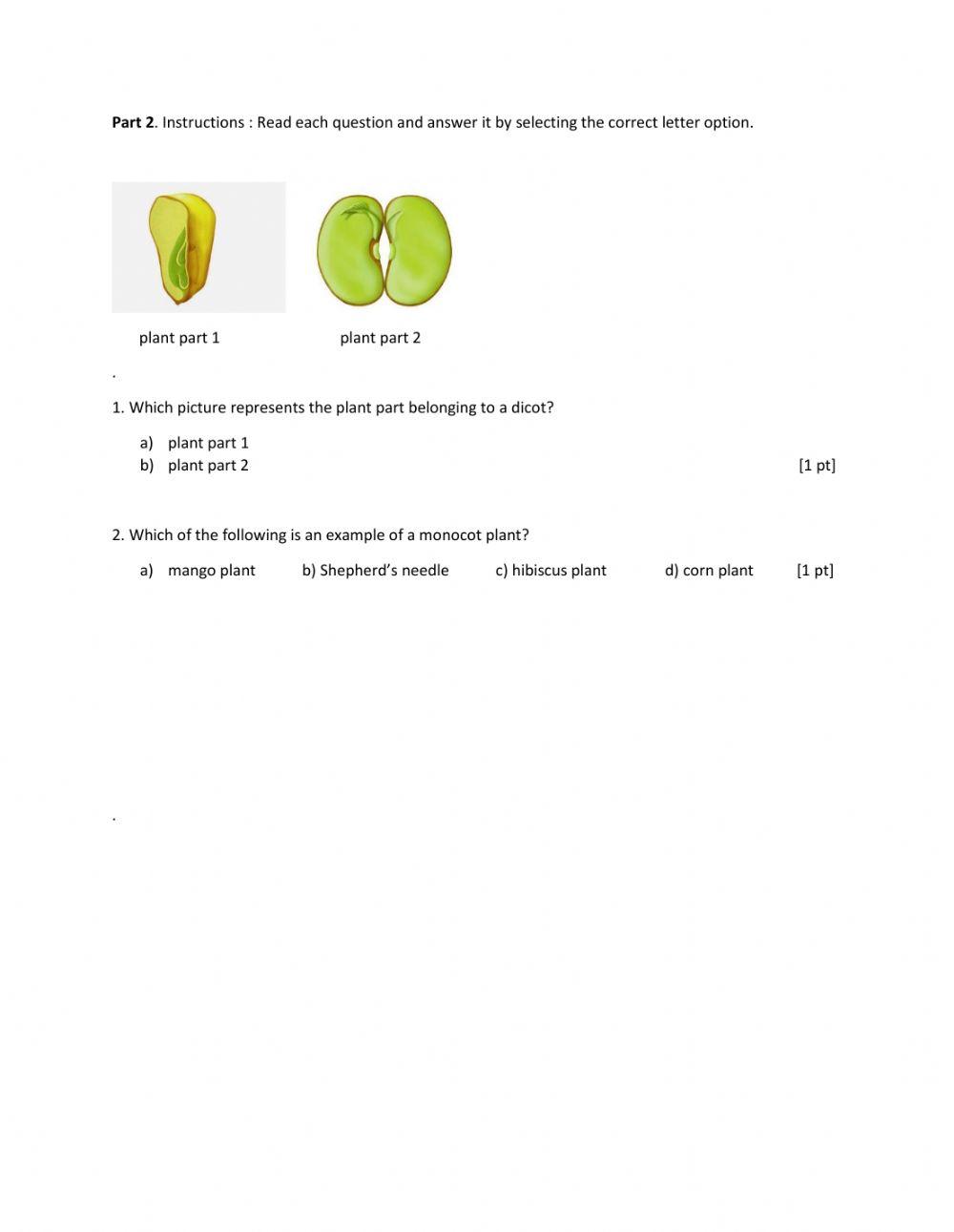 classification of angiosperms online exercise for | Live Worksheets