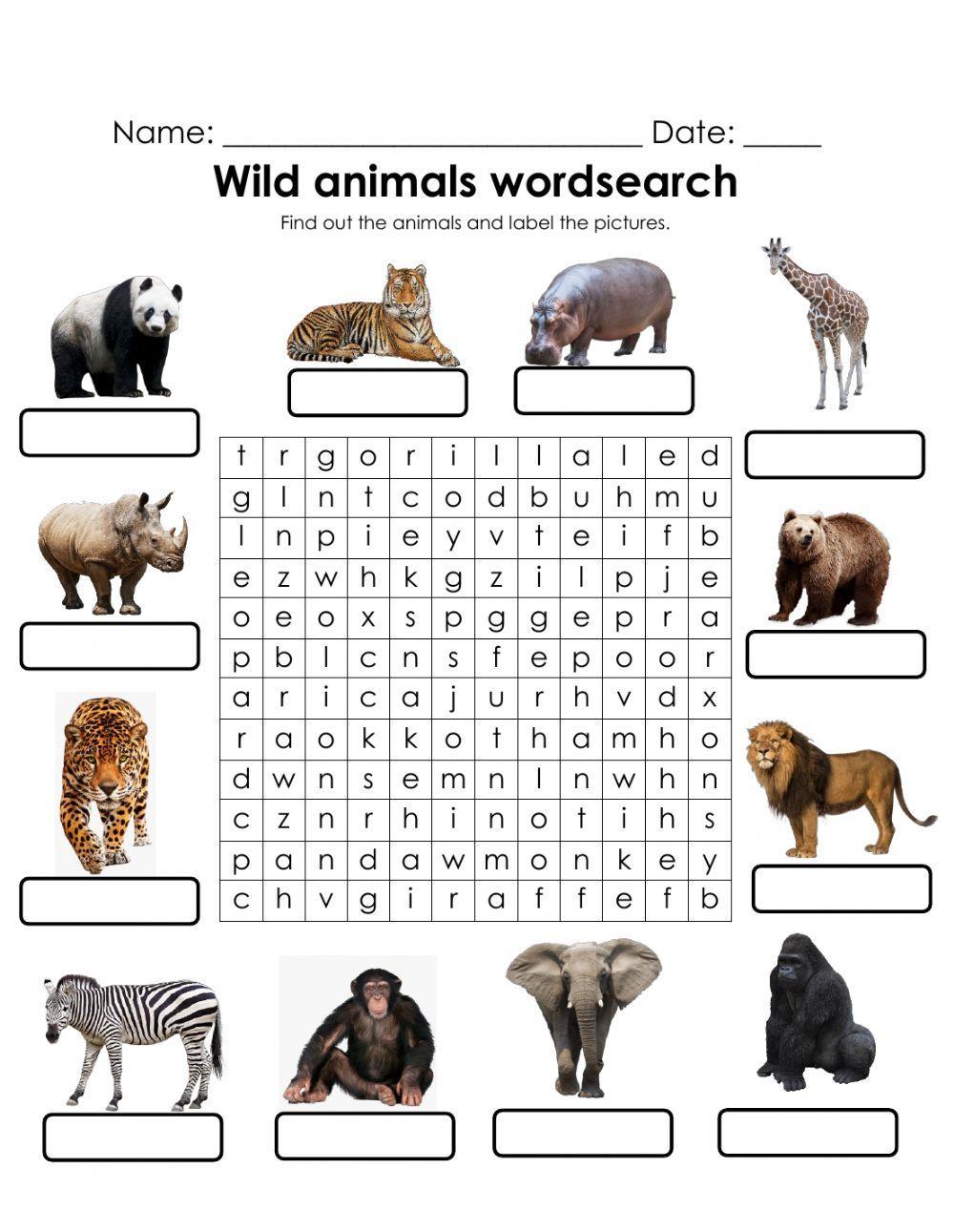 Wild animals wordsearch