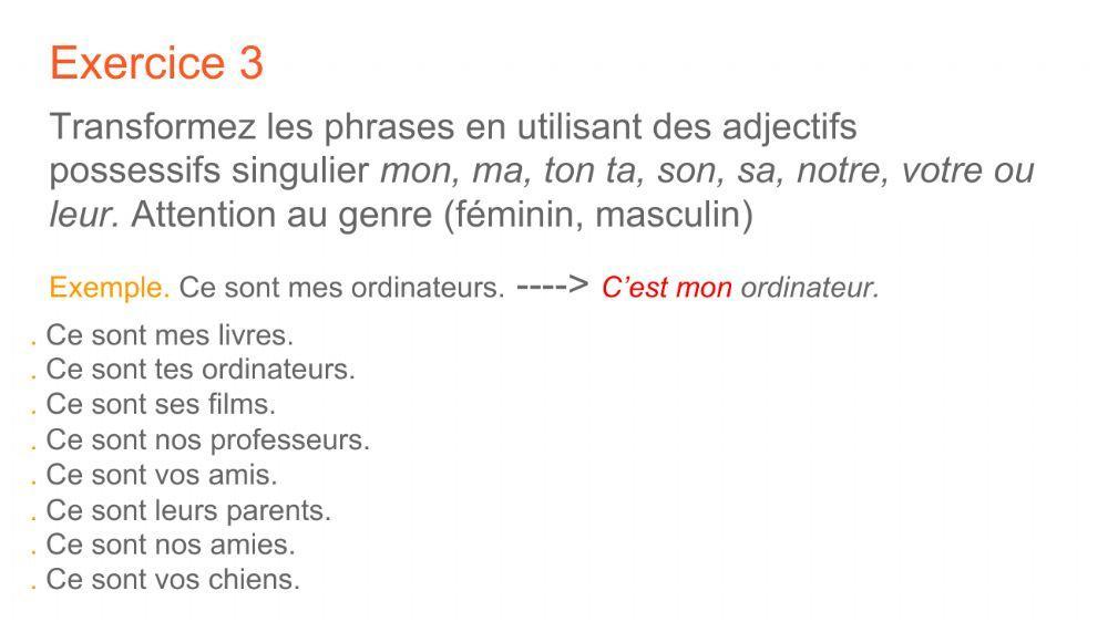 Adjectifs possessifs 2