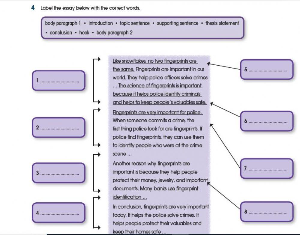 Essay Structure | Free Interactive Worksheets | 442599
