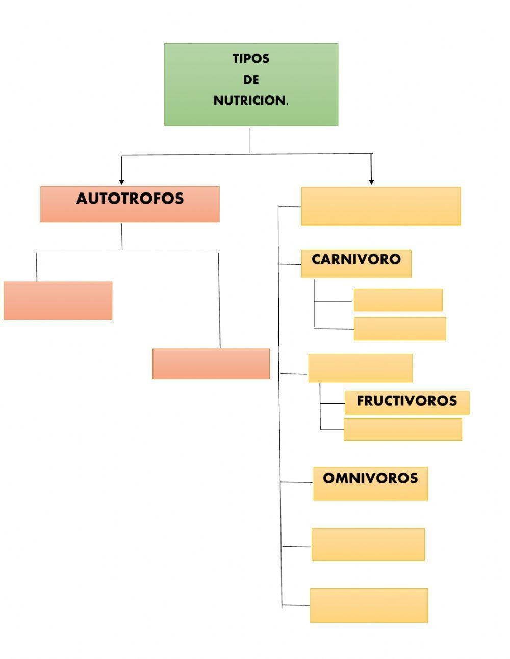 Trabajemos juntos. Tipos de nutrición