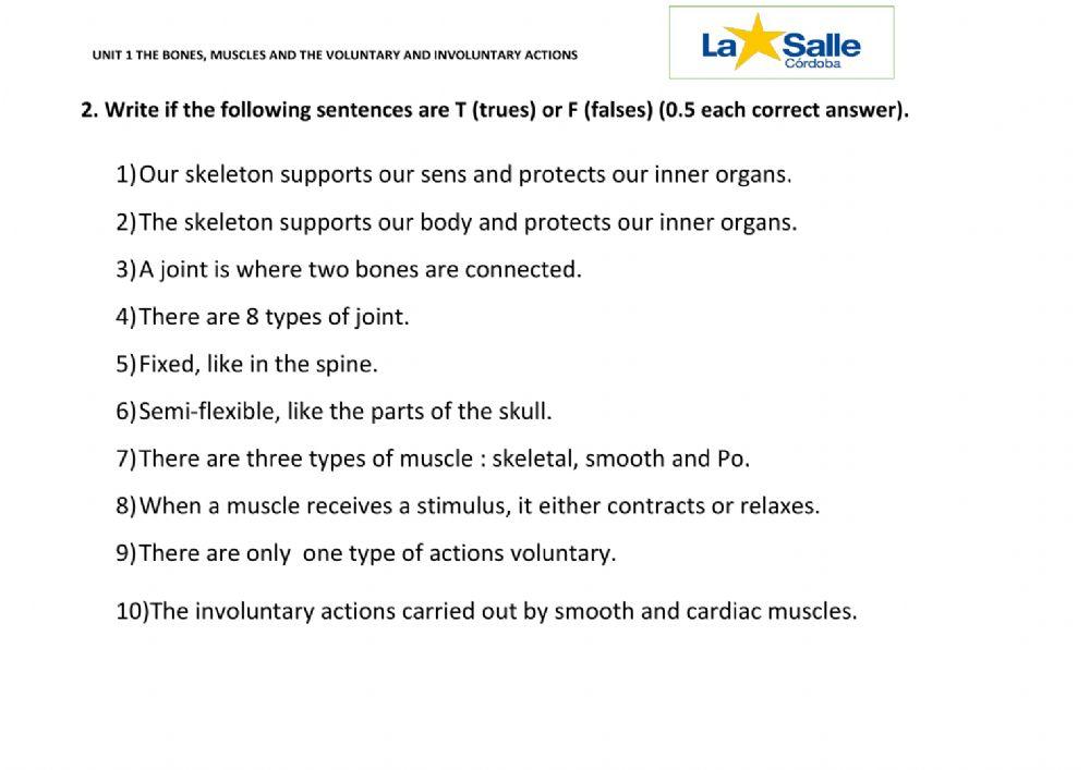 The bones and the muscles