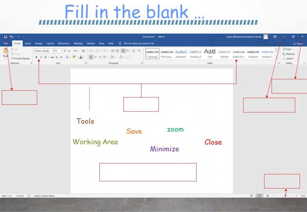 MS-Word Interface