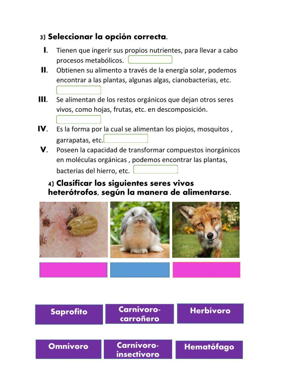 Trabajamos en casa. Tipos de nutrición