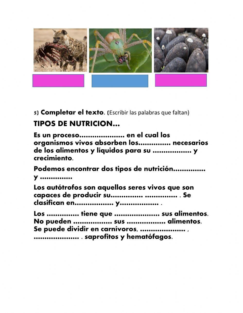 Trabajamos en casa. Tipos de nutrición