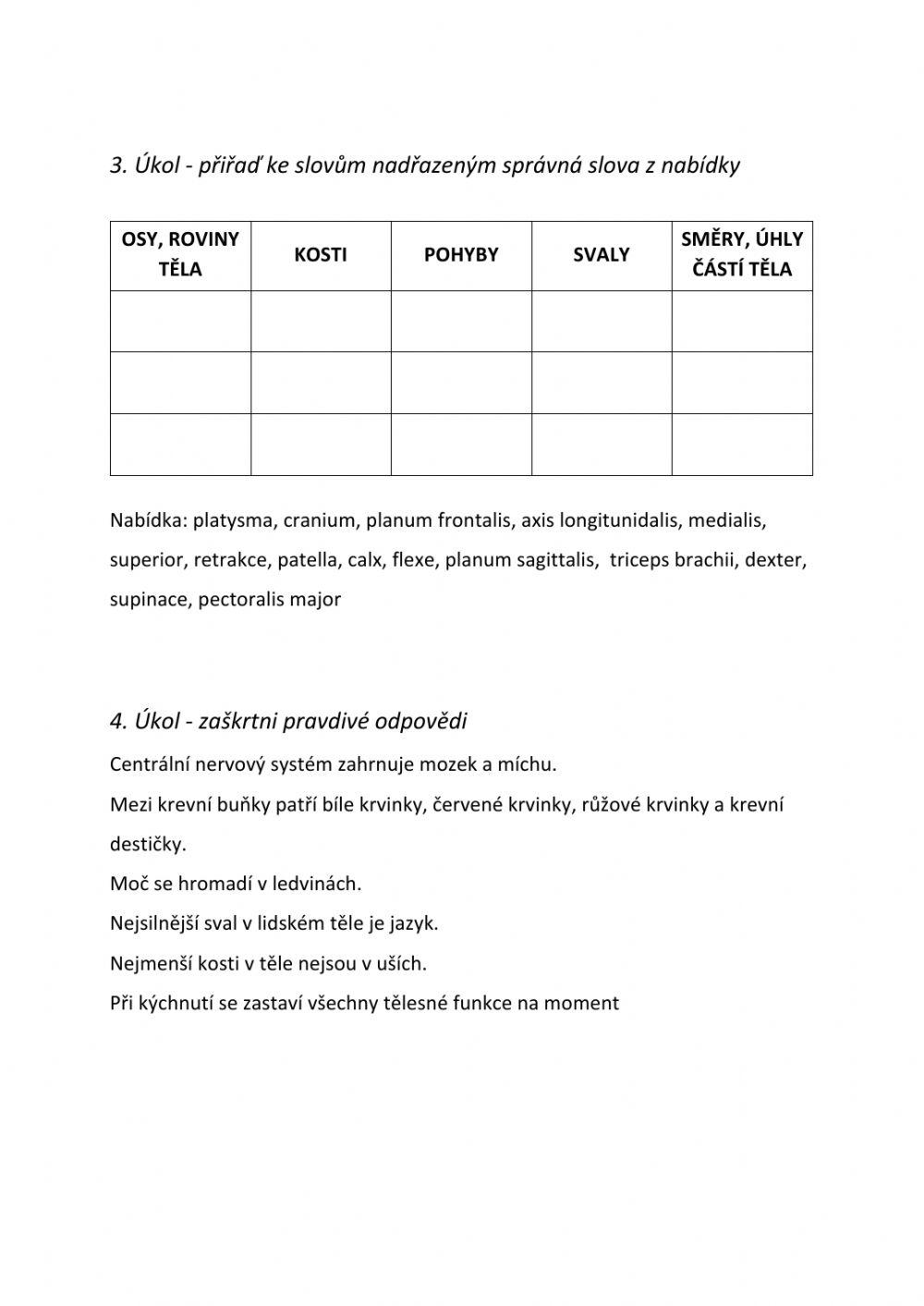 Pracovní list - anatomie