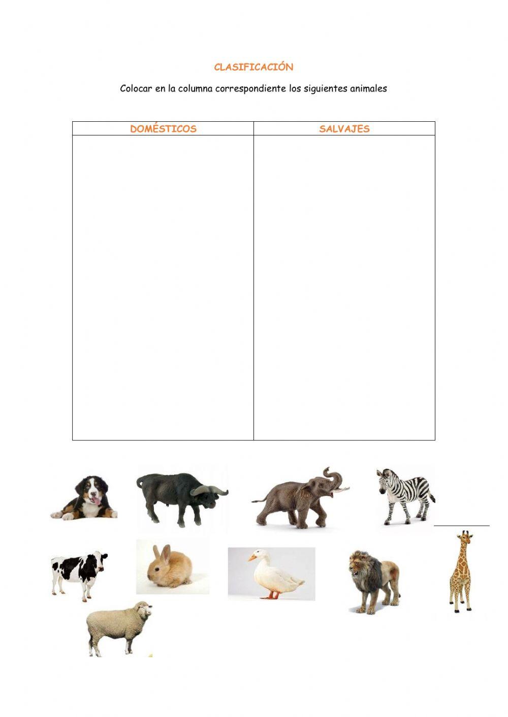 Clasificacion