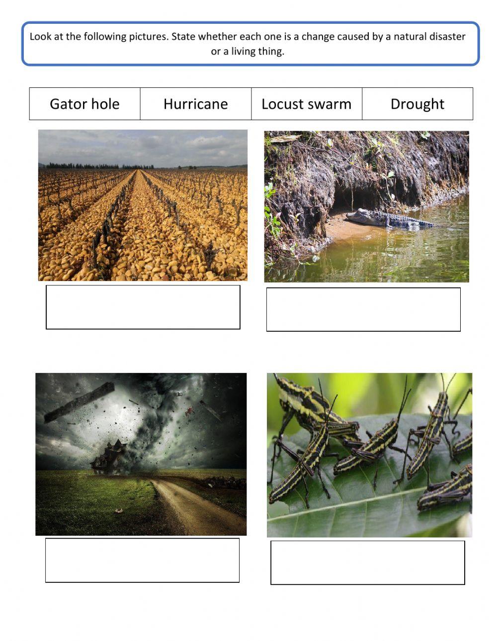 Changes to an ecosystem: natural