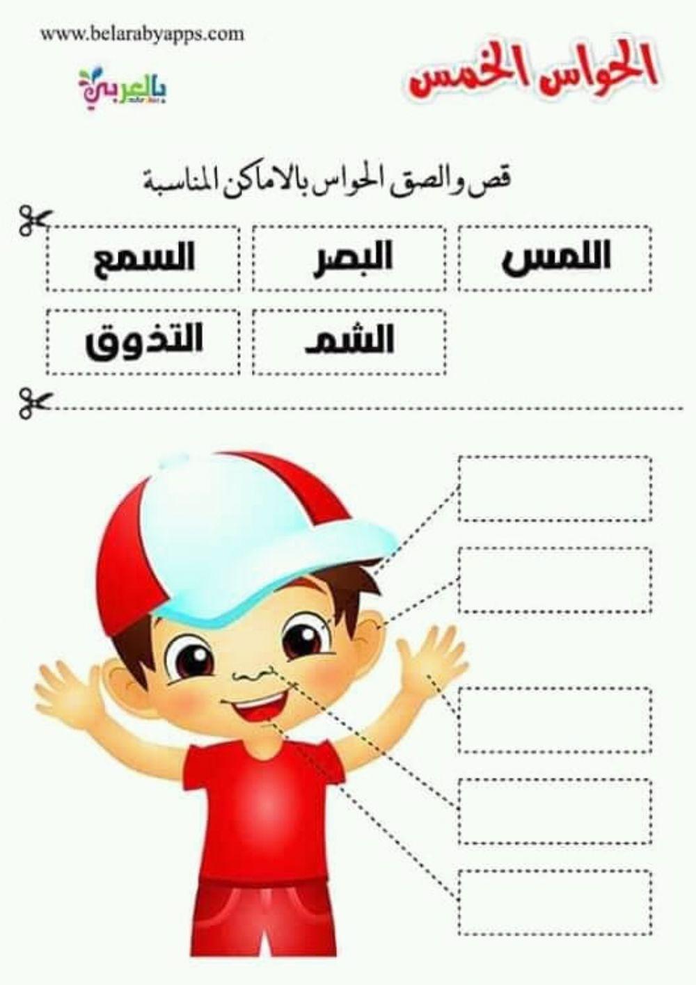 الحواس الخمس الحواس الخمس