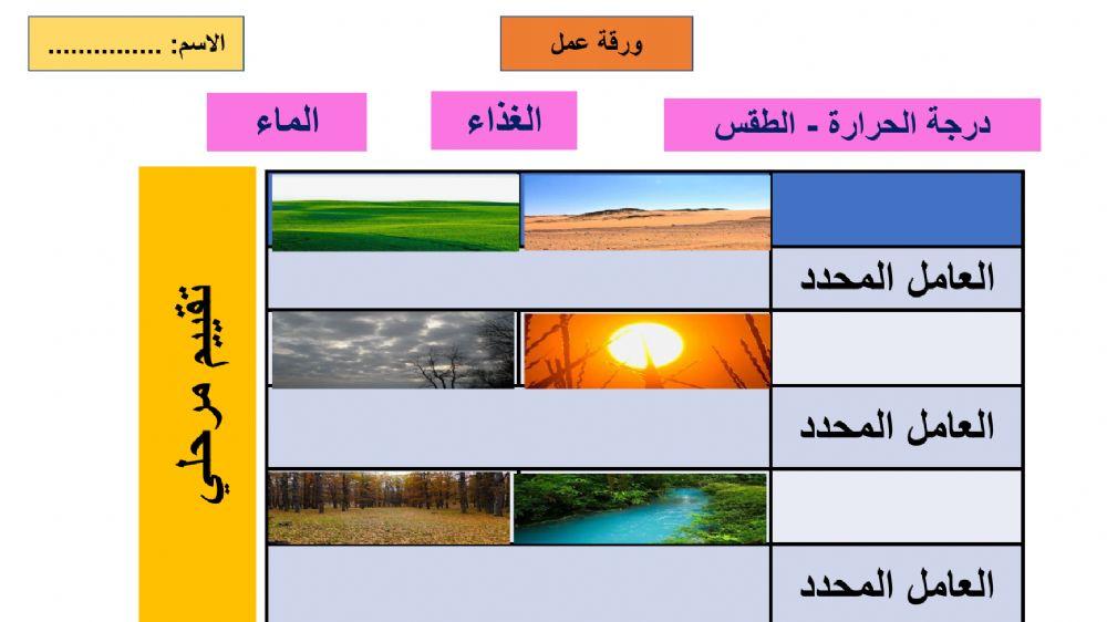 العامل المحدد