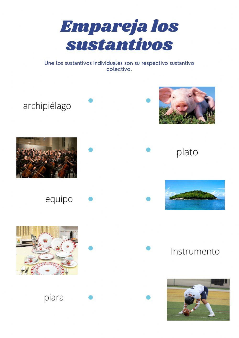 Sustantivos individuales y colectivos