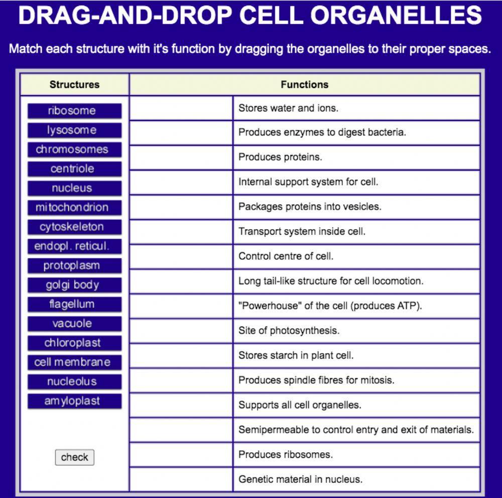 Cell organelles