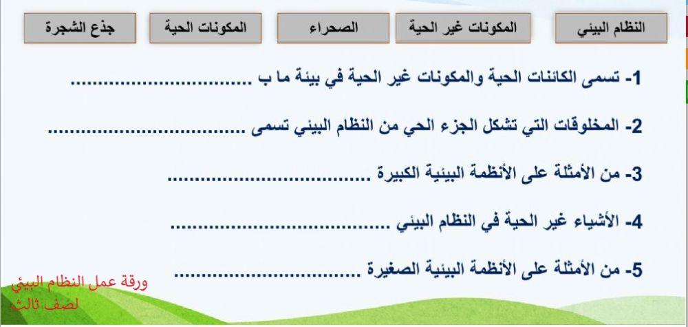 النظام البيئي