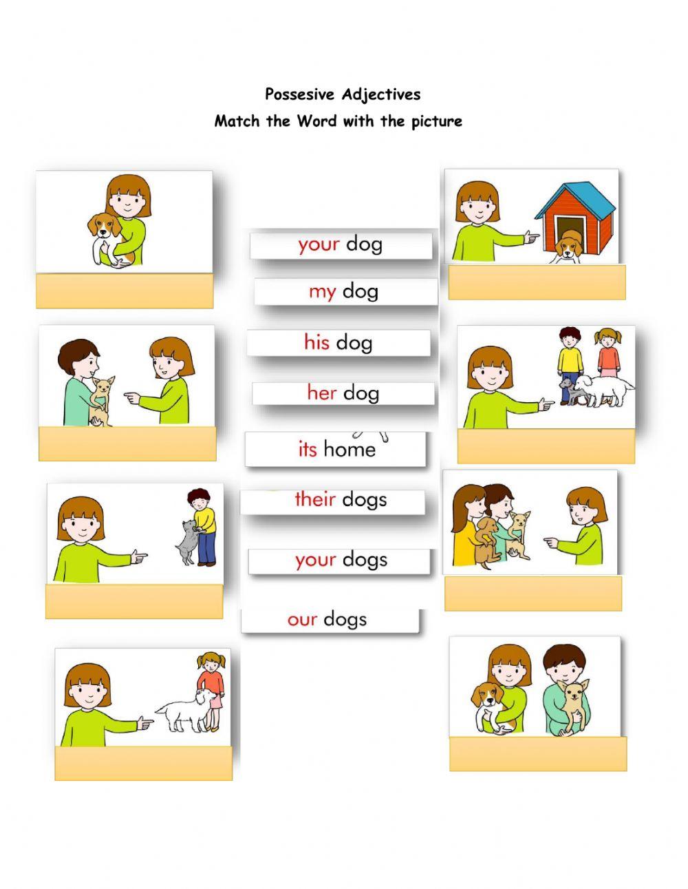 Possesive Adjectives