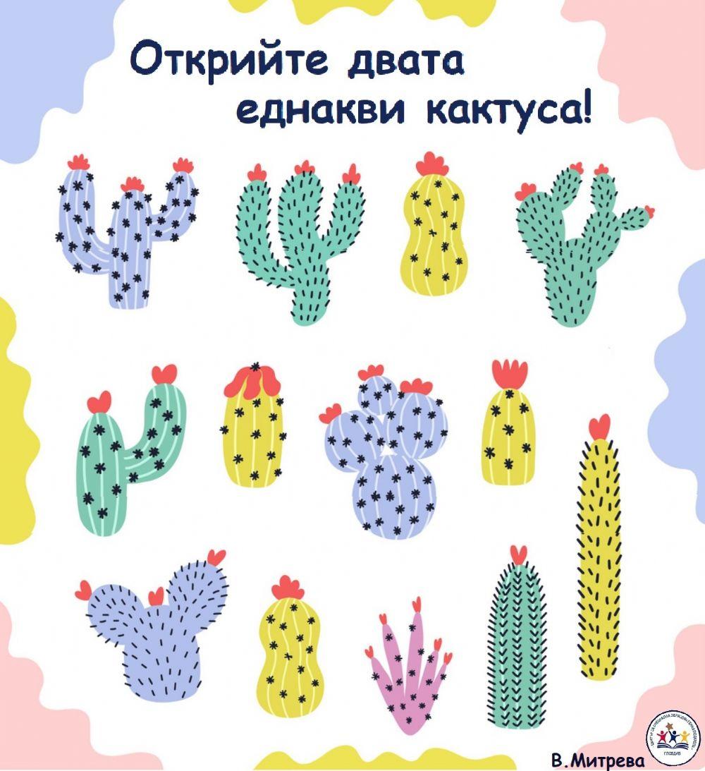 Открийте двата еднакви кактуса!