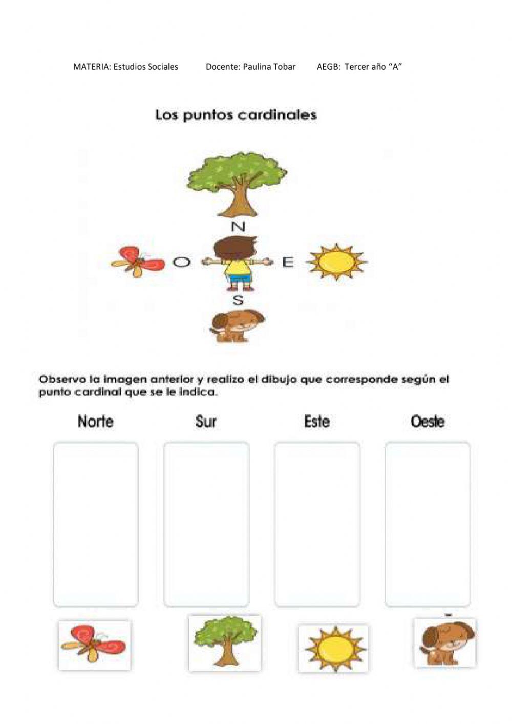 Puntos cardinales