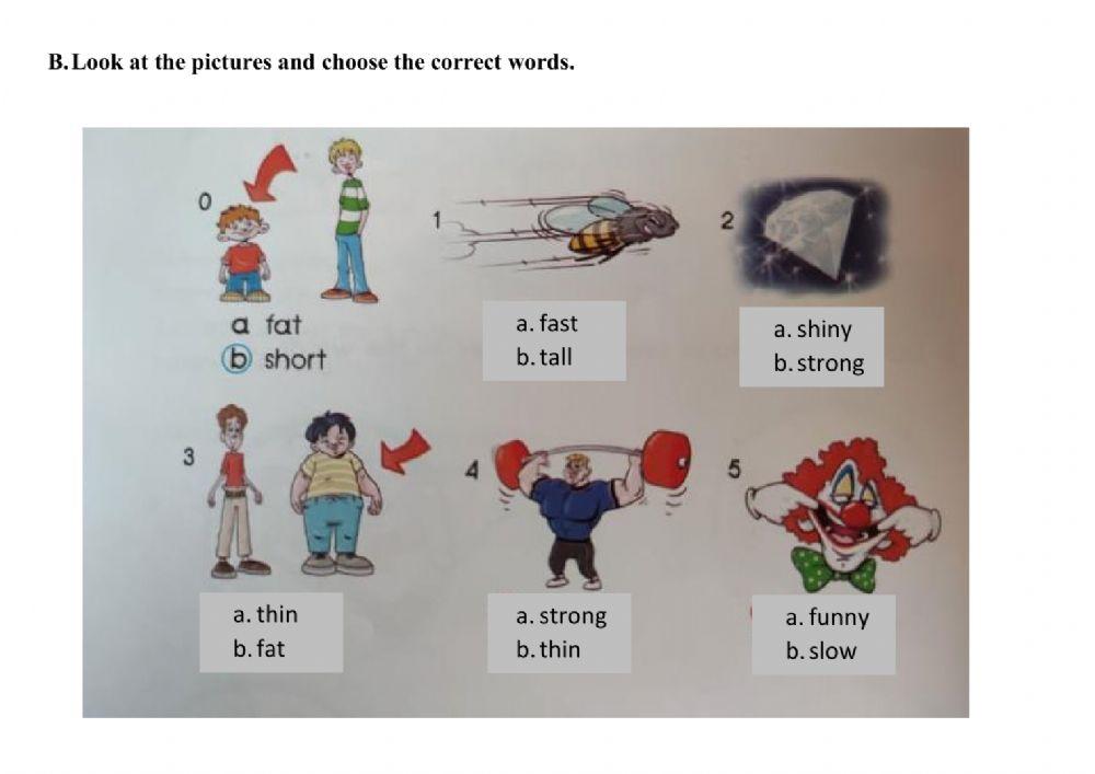 The Hare and the Tortoise - 1