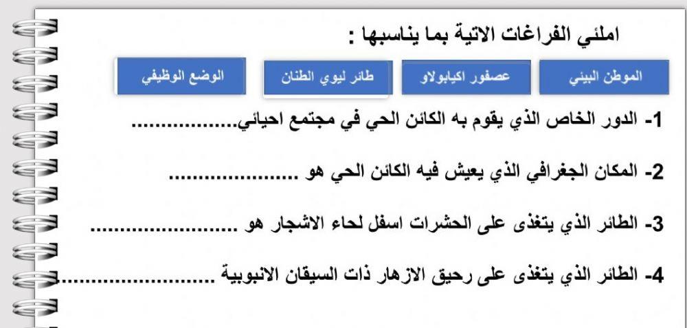العلاقات البيئية