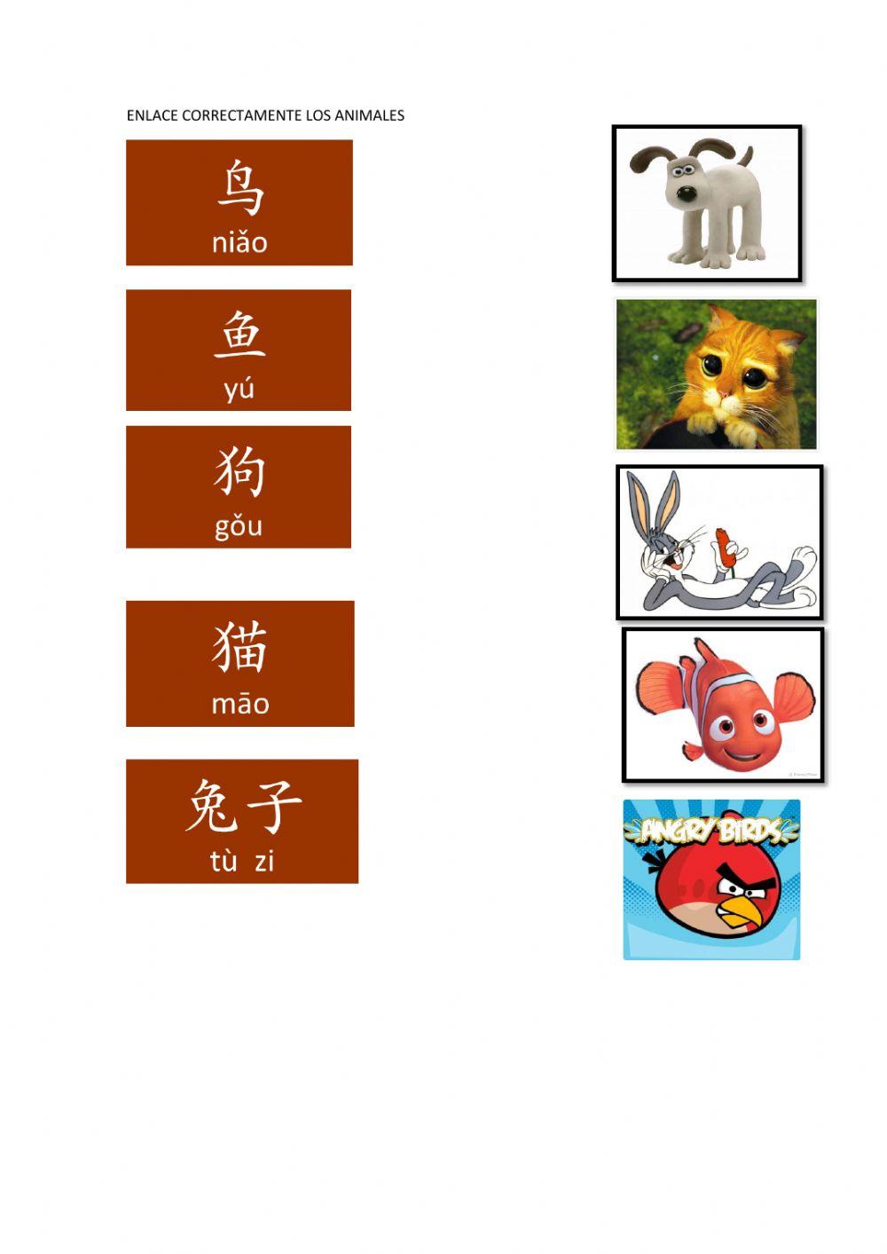 我学习汉语 animales chino