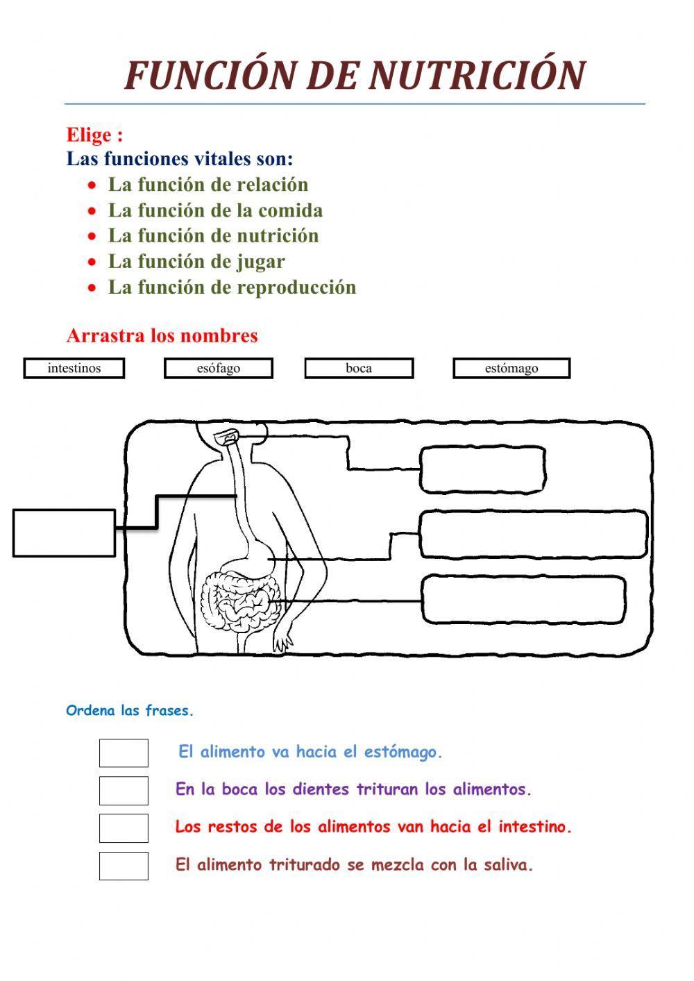 Las funciones vitales