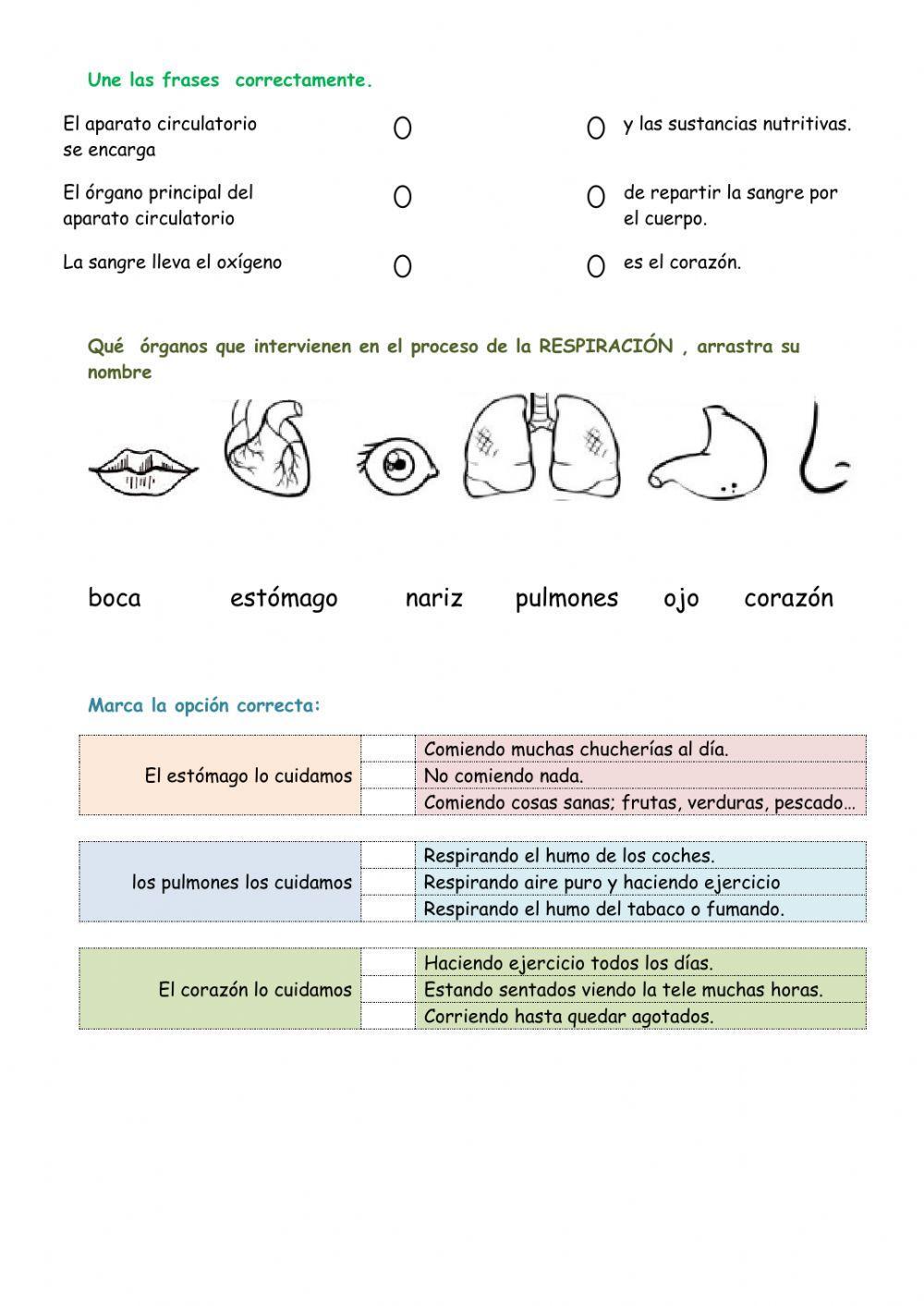 Las funciones vitales