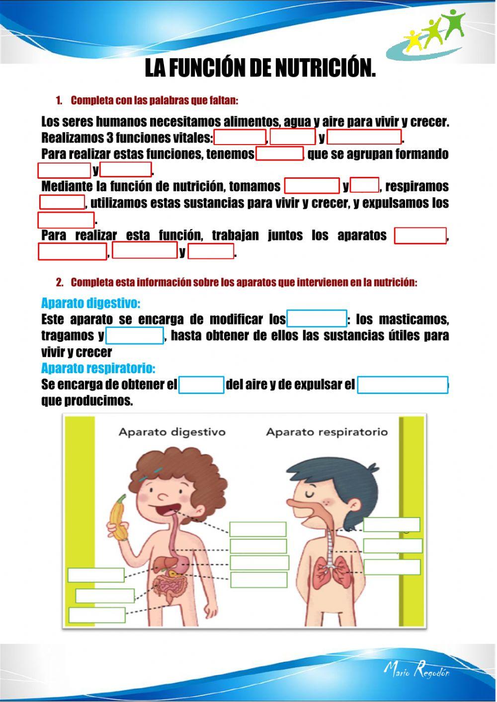 La función de nutrición