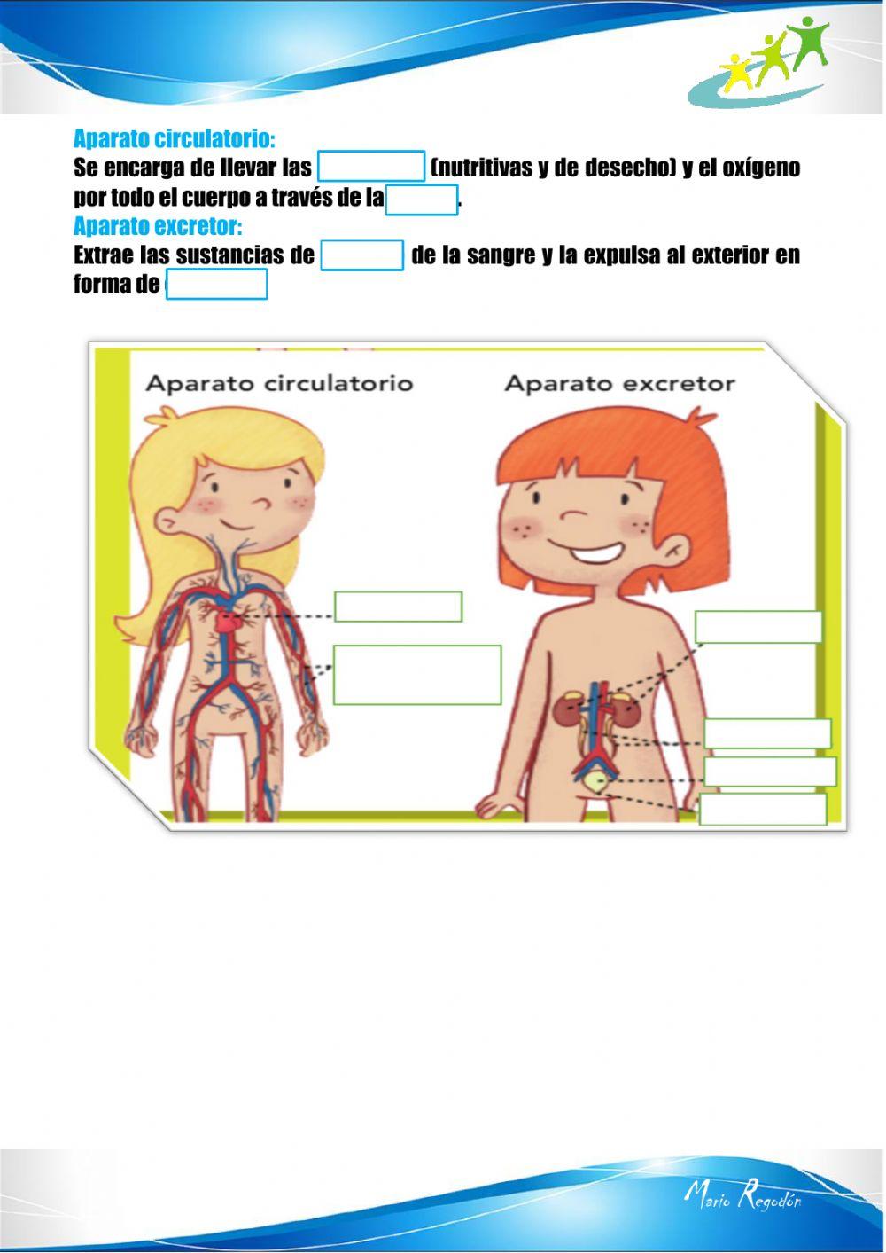 La función de nutrición