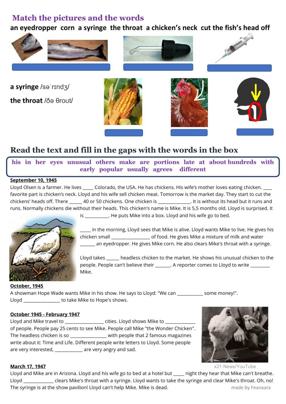 Mike -the Wonder Chicken-