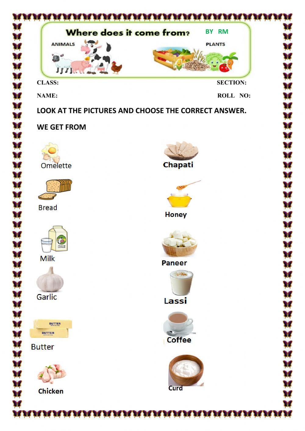 food-from-animals-worksheet