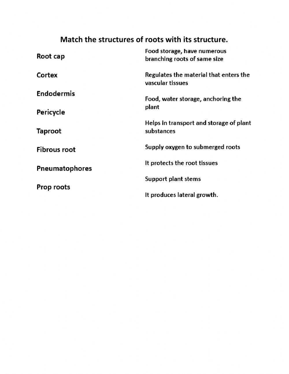 Root functions 3 | Free Interactive Worksheets | 6169947