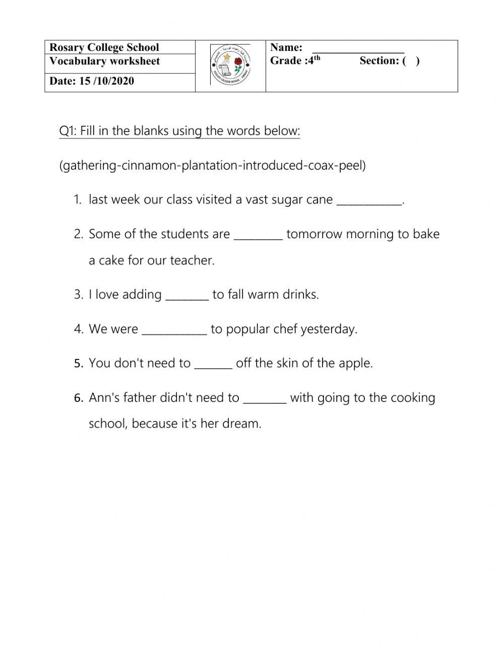 Vocabulary worksheet