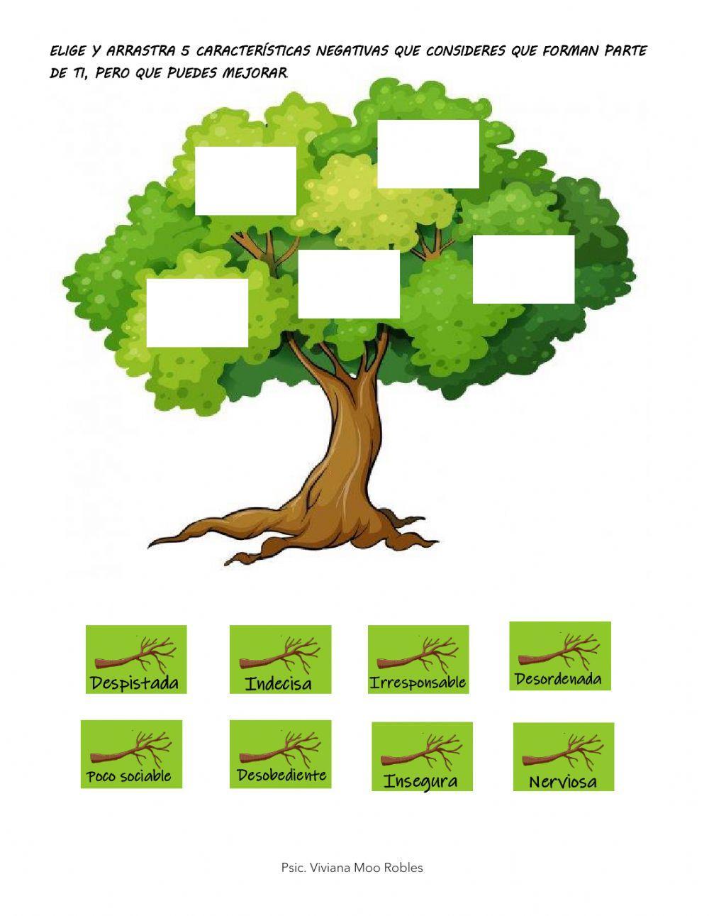 MI ÁRBOL, MI PERSONA MI ÁRBOL, MI PERSONA