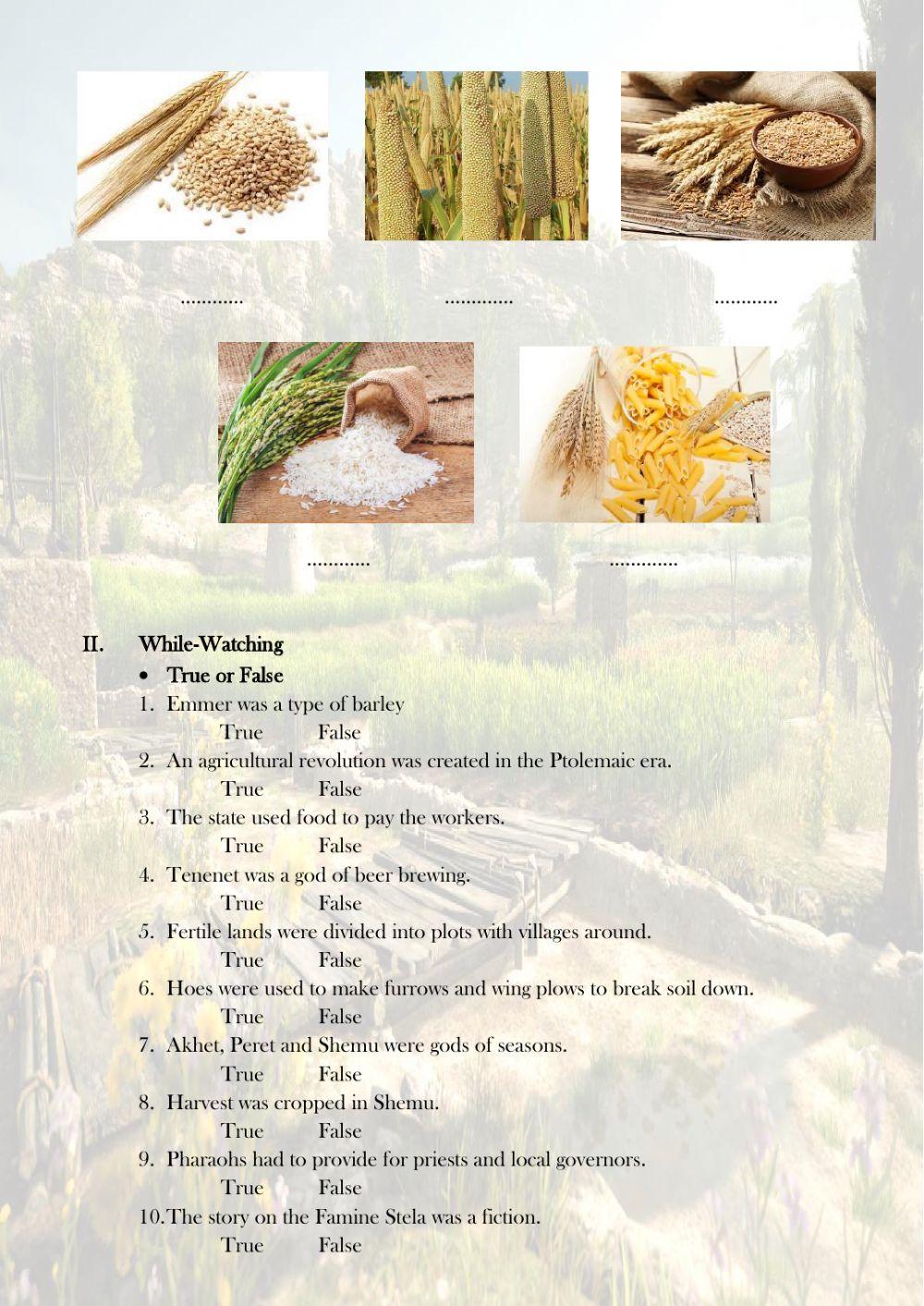 Agriculture and Seasons