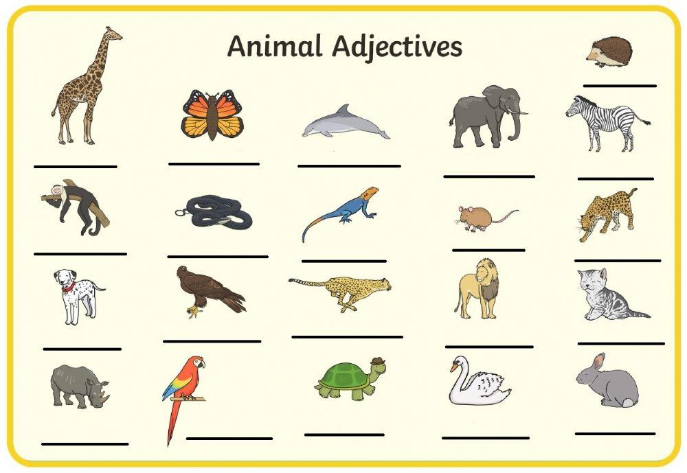 ADJECTIVES ANIMALS