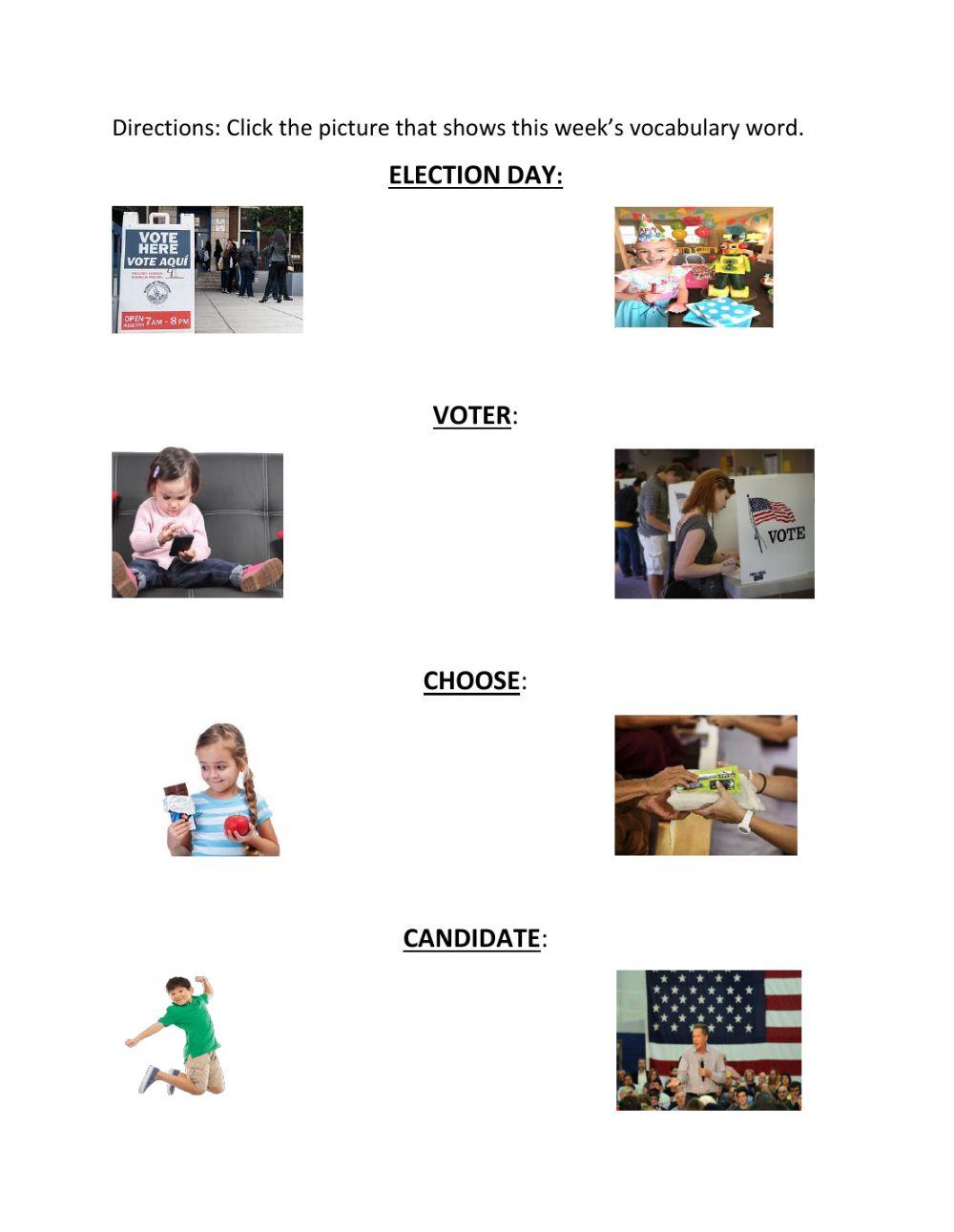 Election Day Vocabulary