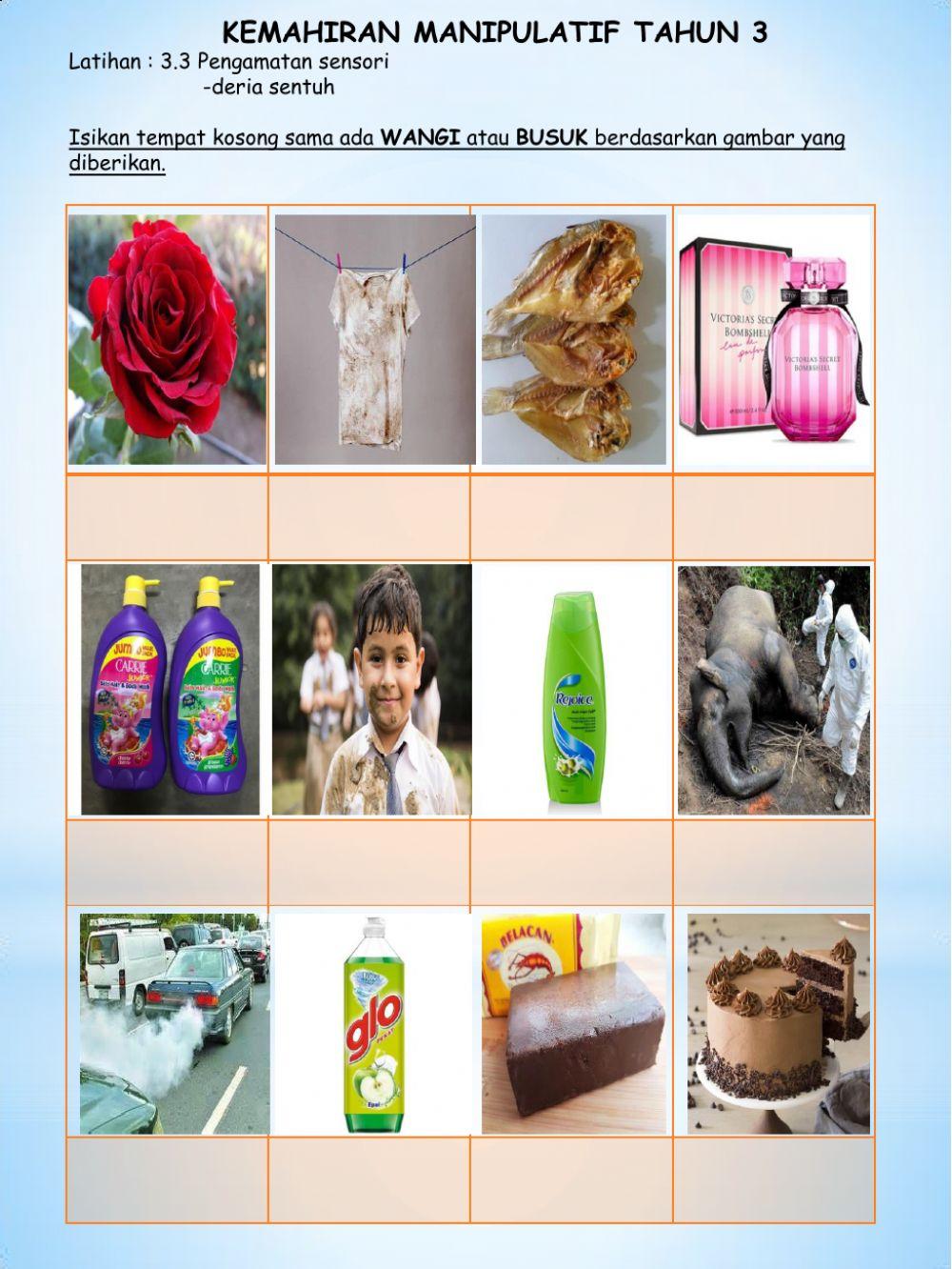 Pengamatan Deria Bau