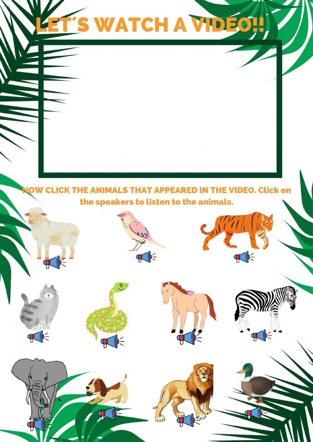 WILD ANIMALS VIDEO AND ACTIVITY