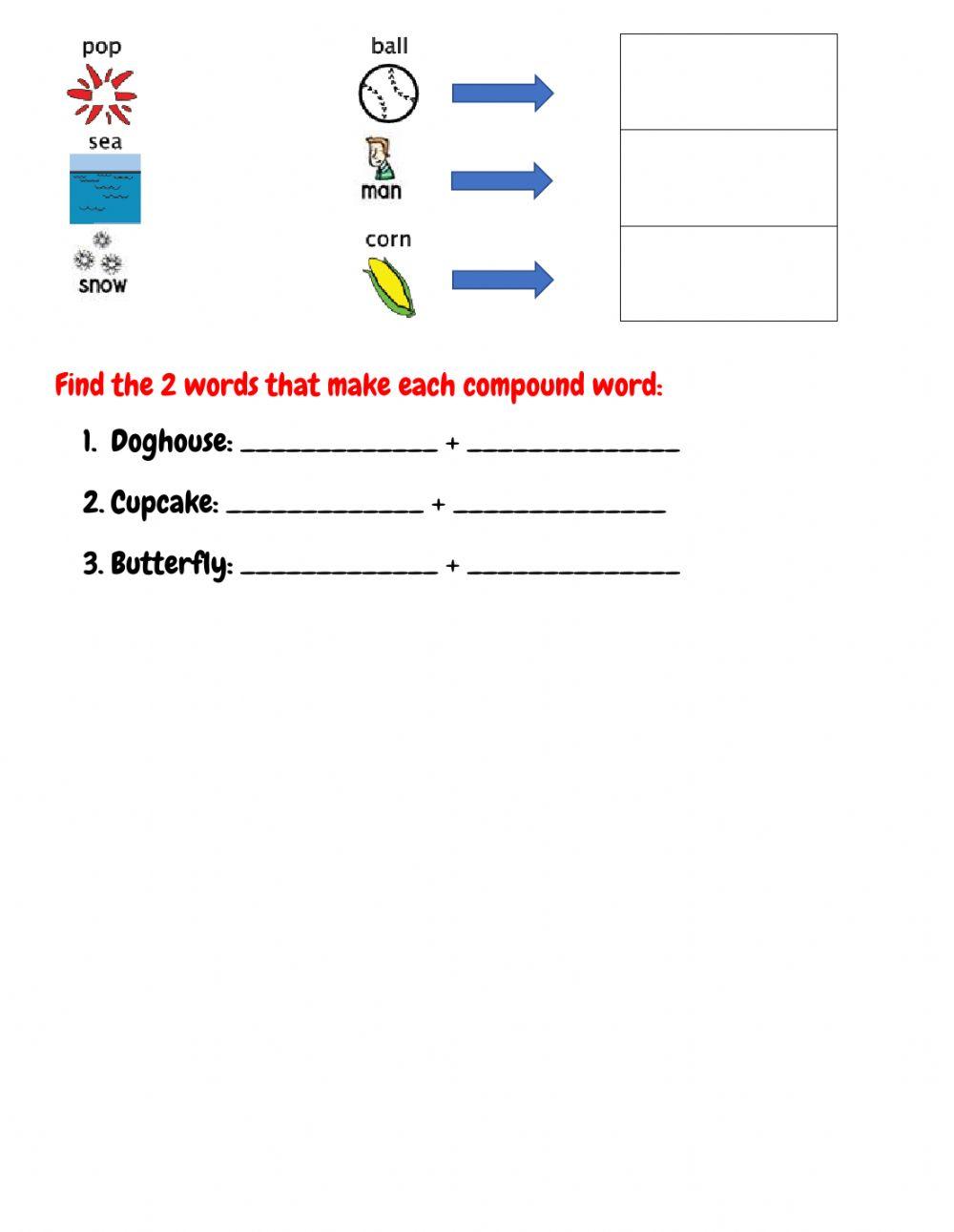 Compound Words and Use of Should Quiz Sebastian Skaff