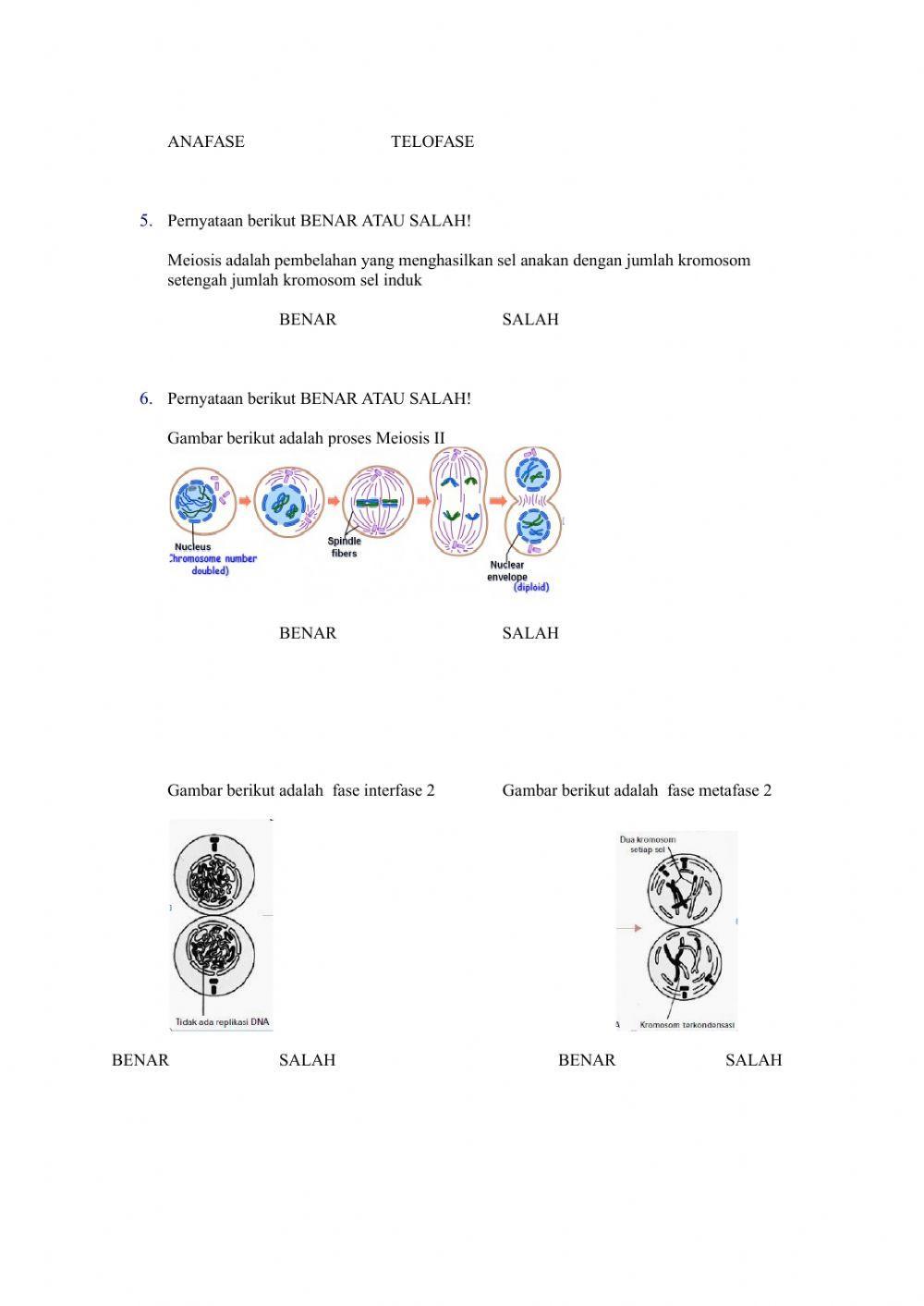 LKPD Pembelahan Sel Mitosis -meiosis