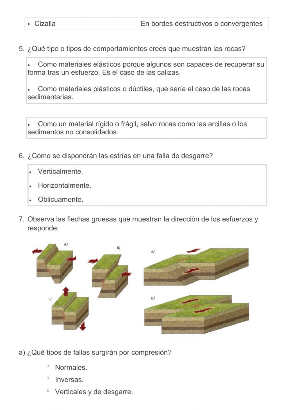 La dinámica interna y el relieve