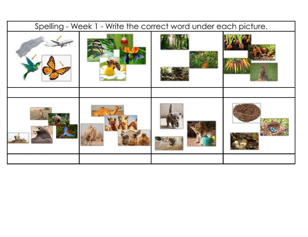 Spelling list Cambridge 1