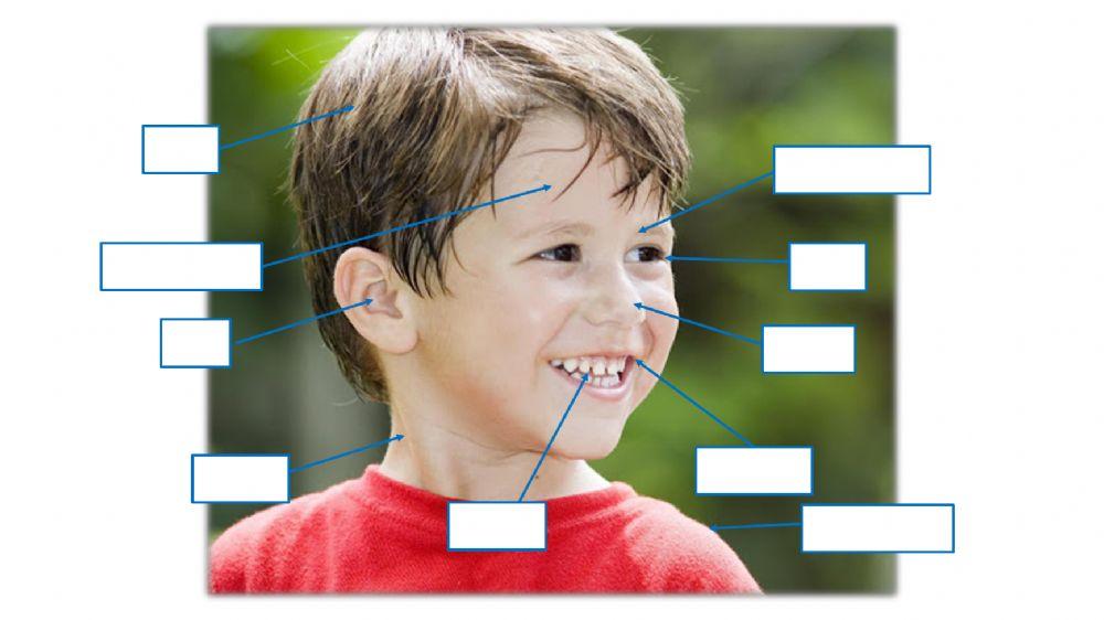 Spelling list Cambridge 3