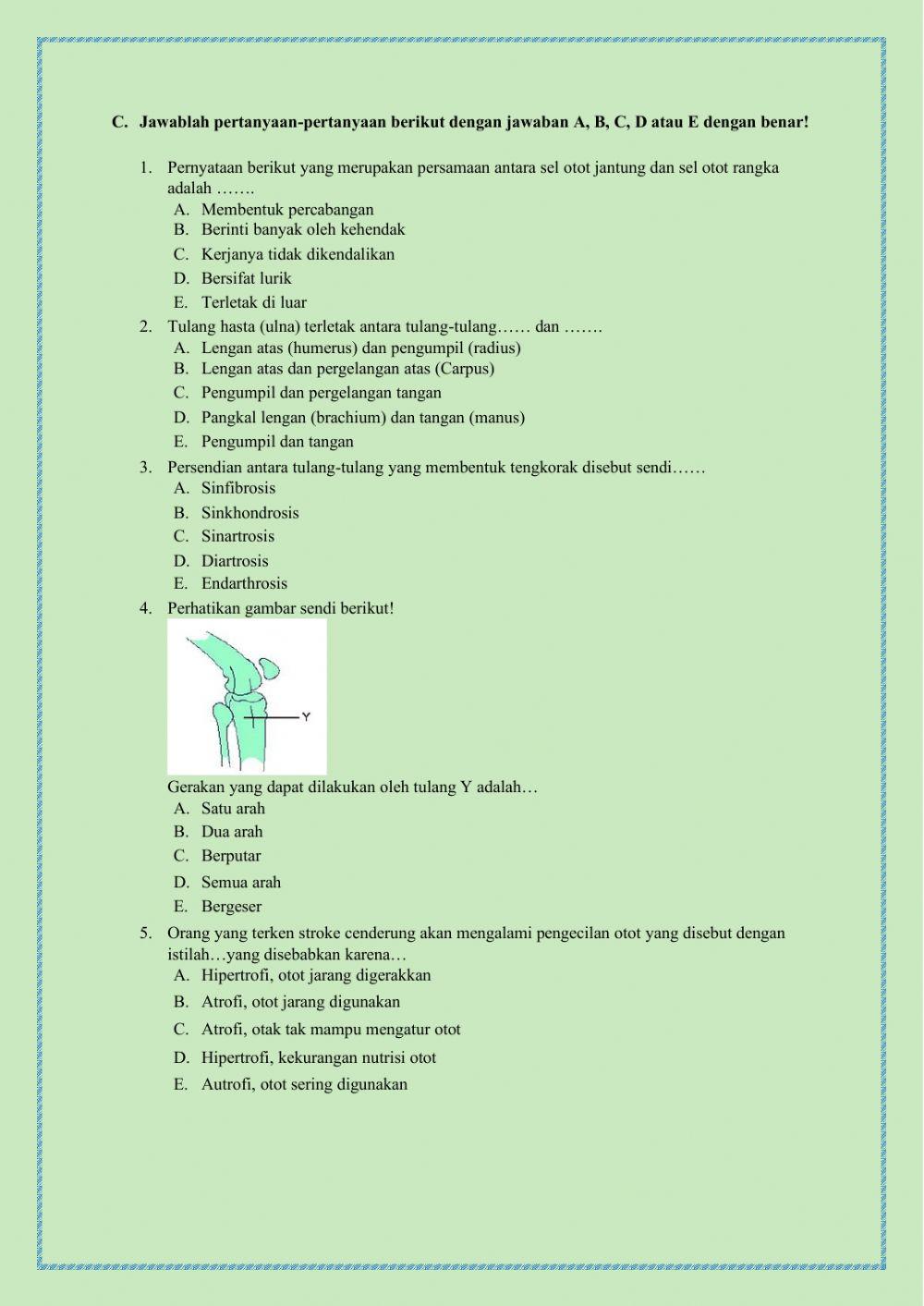 Sistem Gerak Manusia