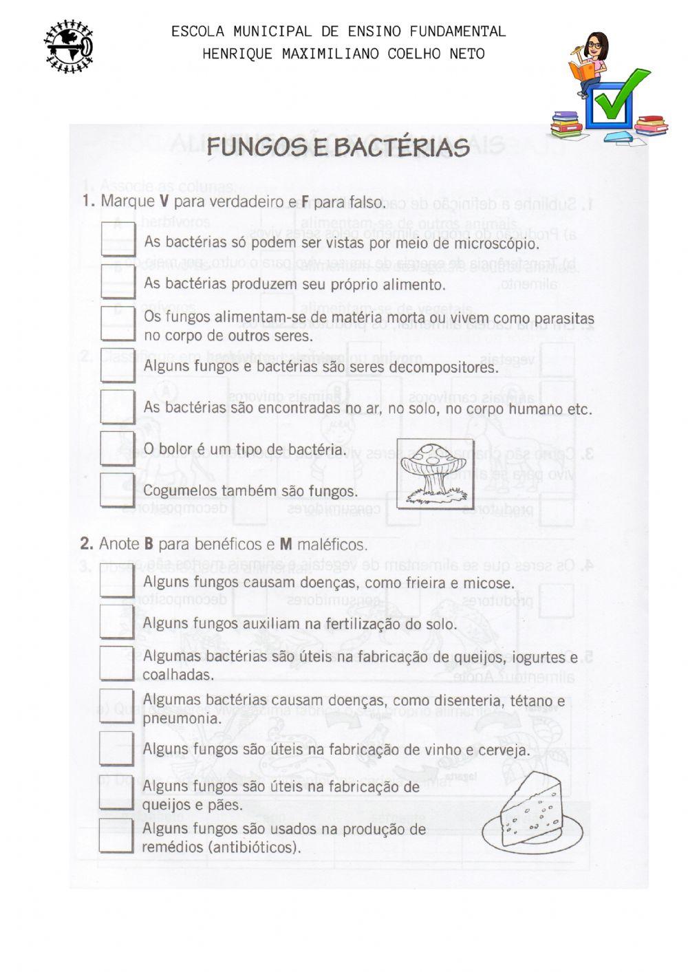 Fungos e bactérias