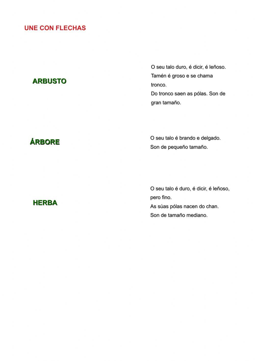 Árbores, arbustos, herbas